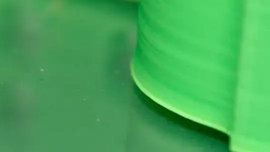 Elephants foot