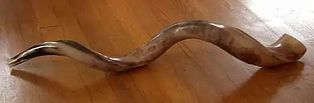 Image 2A kudu horn (from Wood Badge)