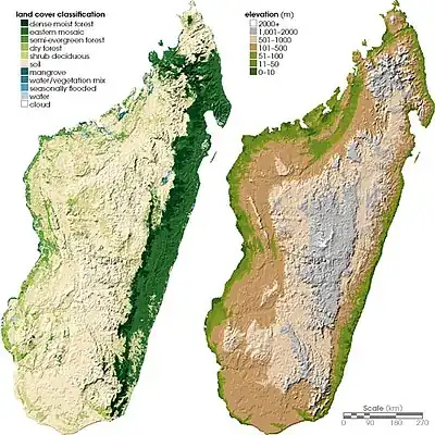 Image 1Land coverage (left) and topographical (right) maps of Madagascar (from Madagascar)